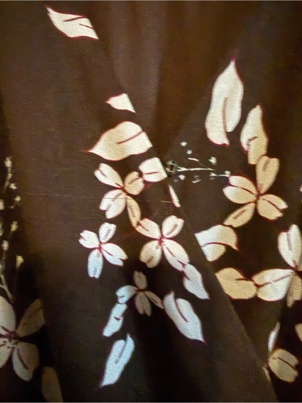 PARKER Black Floral Ruffled Long-Sleeve Dress with Blue Blossoms - Picture 4 of 8